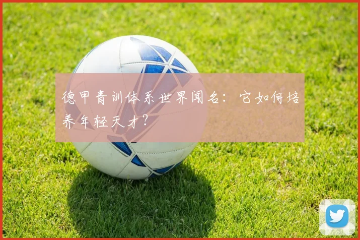 德甲青训体系世界闻名：它如何培养年轻天才？