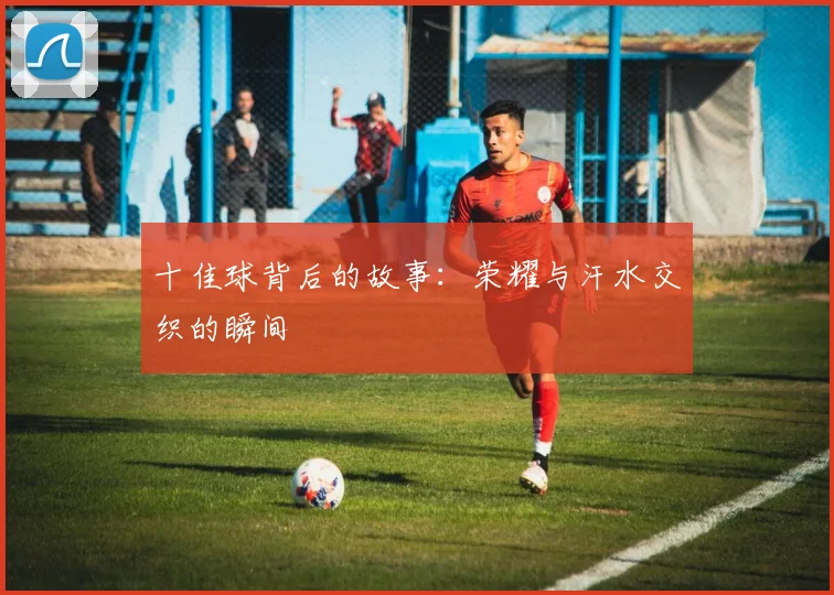 十佳球背后的故事：荣耀与汗水交织的瞬间